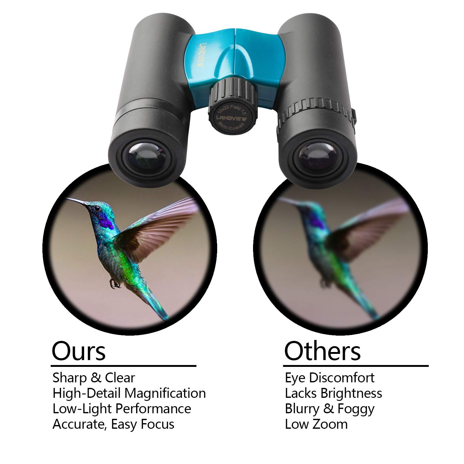 Buy Compact Powerful Waterproof Binoculars 10x Magnification Blue Cheap H&J Liquidators