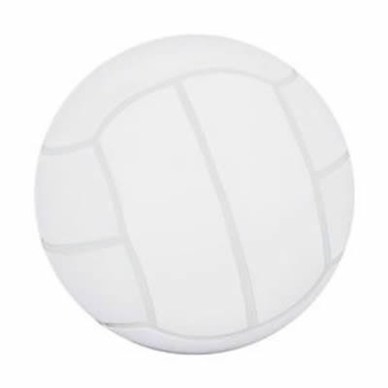 Buy Novelty Volleyball Stress Reliever Balls Cheap H&J Liquidators
