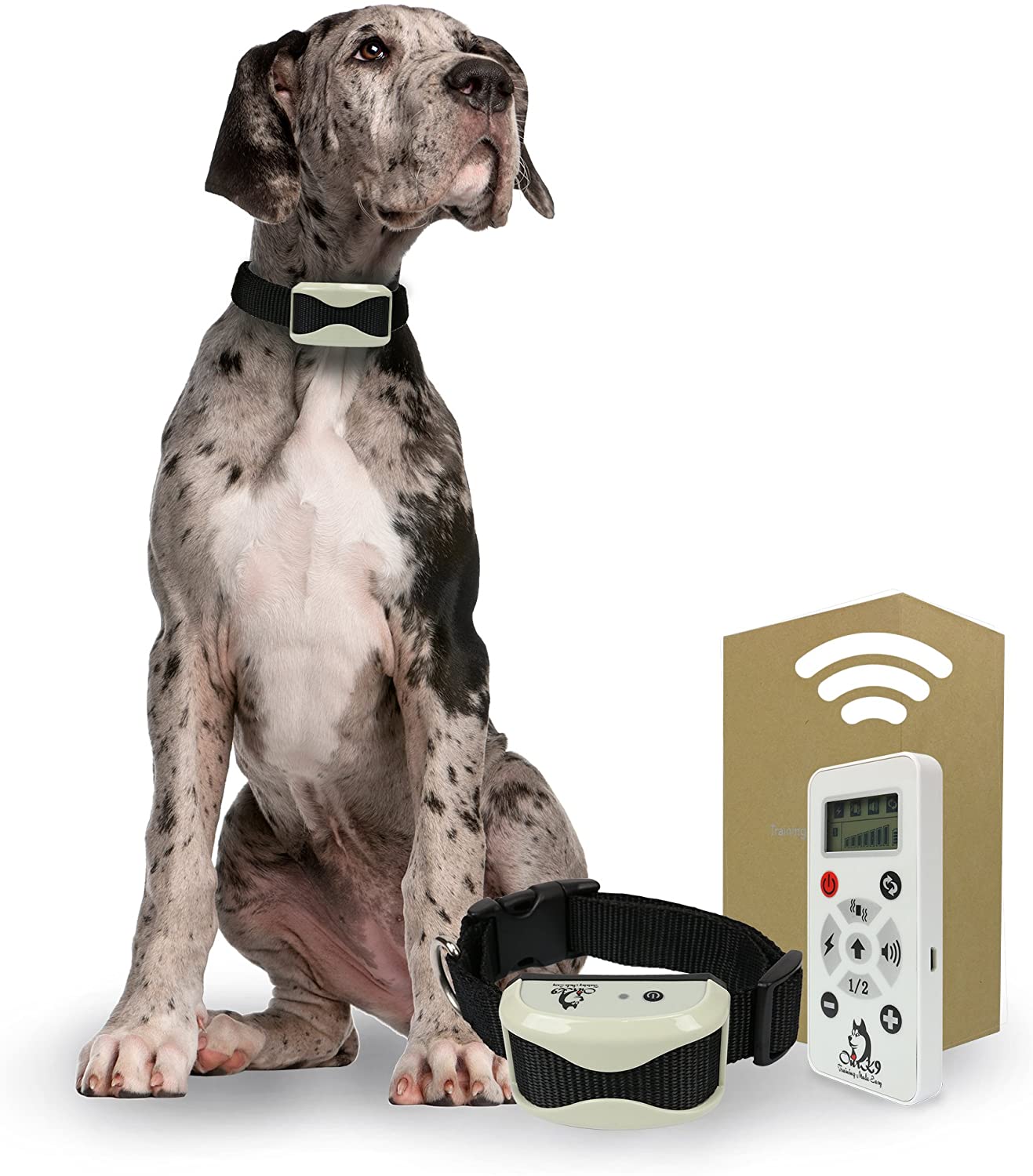 Buy Our K9 Remote Training Collar Sound, Vibration, Shock Single Dog