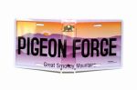 licenseplatepigeonforge.jpg